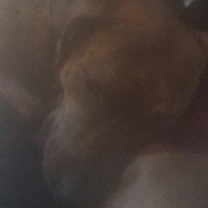 Meet your Posher, Rebekah